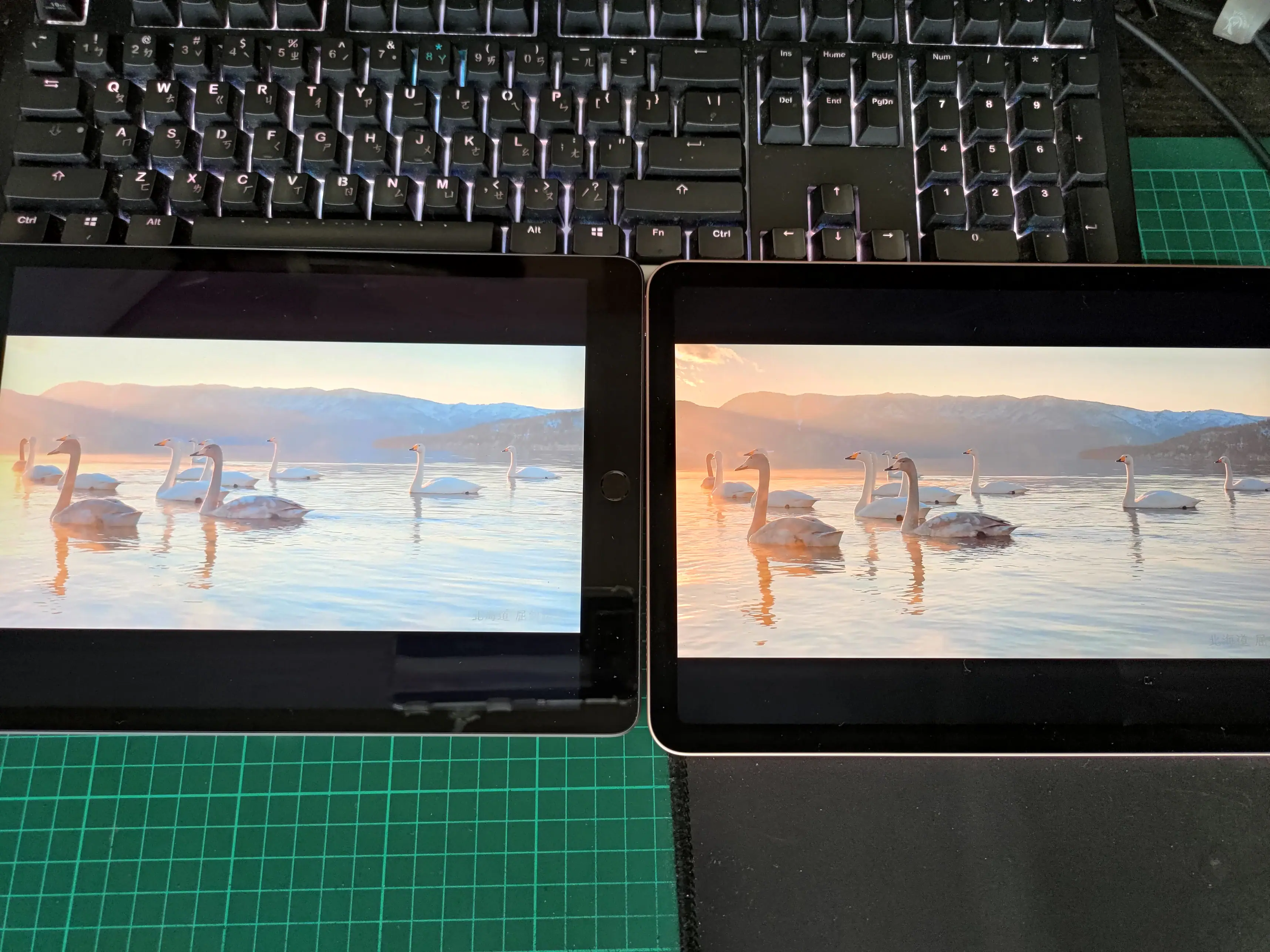 iPad Air 4(左側)顏色更準確